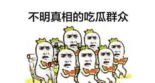 小红书吃瓜群众cc,揭秘网络舆论背后的真相