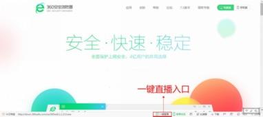 网红天团价格查询官网,官网信息深度解析