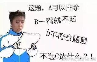 老师说你是麻瓜,一位普通学生的奇幻旅程