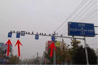 临沂新闻头条东城路口,交通秩序紧急调整
