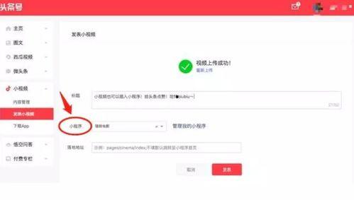 如何开启头条的小程序,畅享便捷资讯新体验